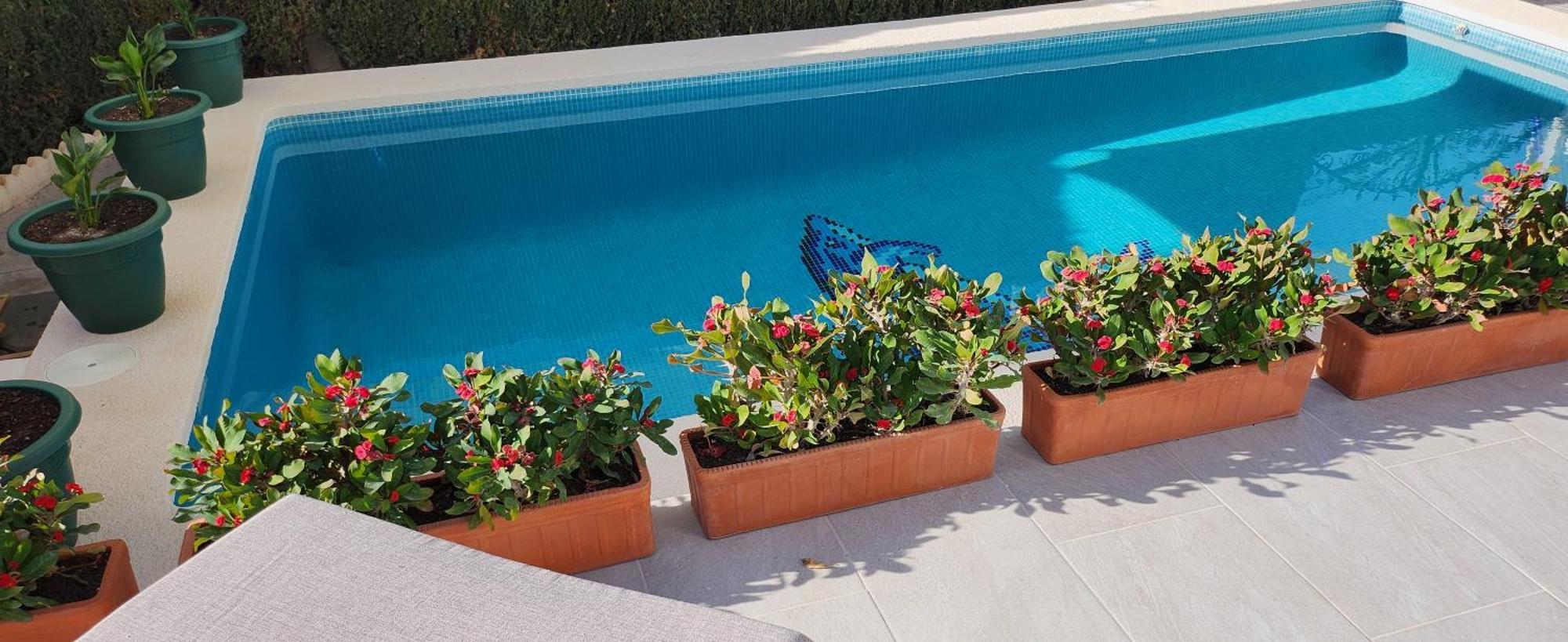 Las Mariposas San Fulgencio Dış mekan fotoğraf